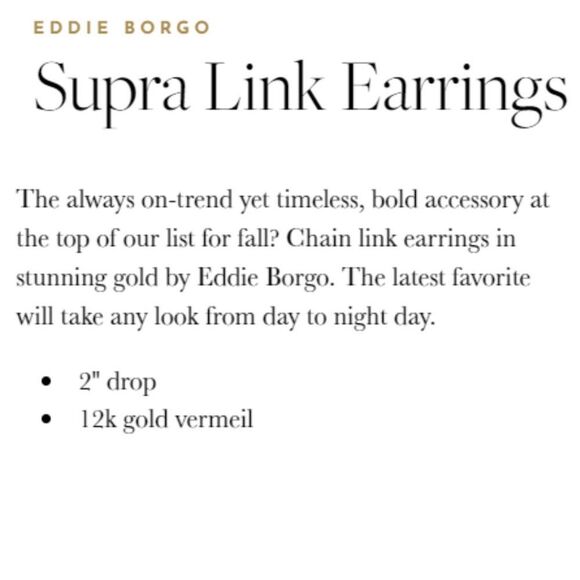 NWT Eddie Borgo Supra Chain Link Earrings - Picture 3 of 8